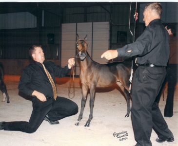 2004 Sweepstakes...